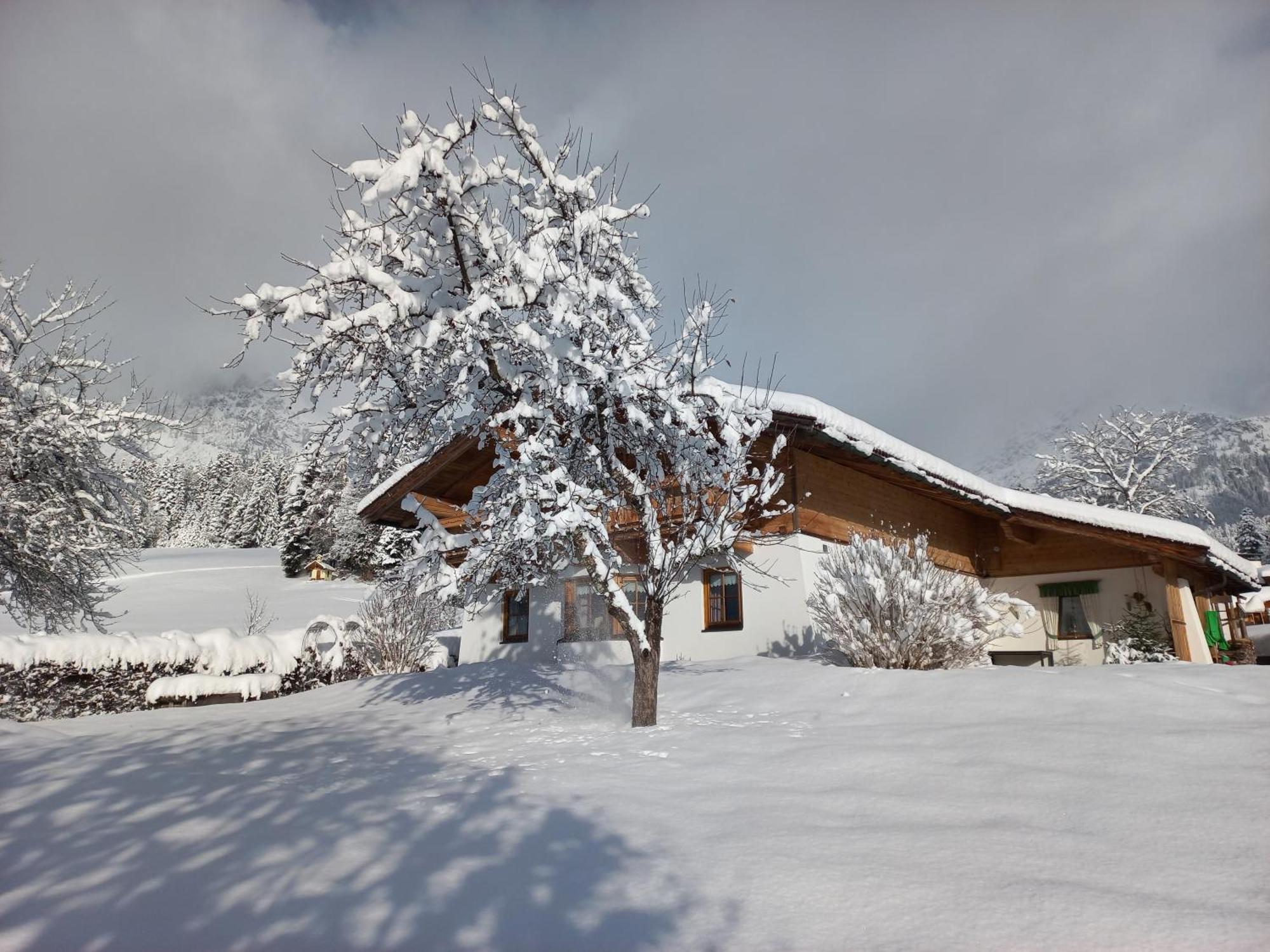 Chalet Gluecklich Sein... Ellmau Extérieur photo